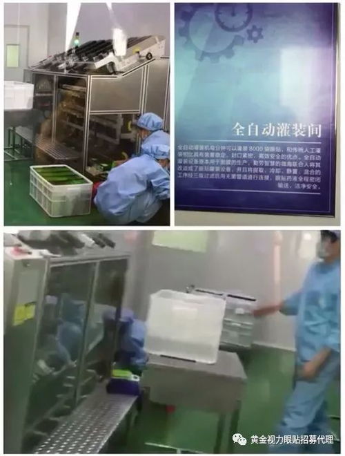 黃金視力眼貼新工廠開放日 代理商參觀見證品質(zhì)升級(jí)，國內(nèi)廣告布局引領(lǐng)市場新浪潮