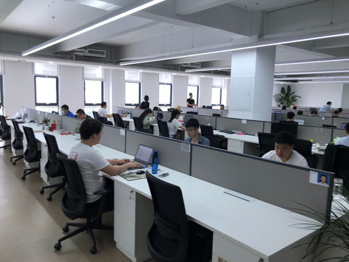 聚焦石家莊電子信息產(chǎn)業(yè) 神玥軟件堅持數(shù)字化發(fā)展，迎來發(fā)展黃金期