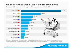 在創業浪潮中搭上電子商務的順風車 平臺開發建設的實戰指南
