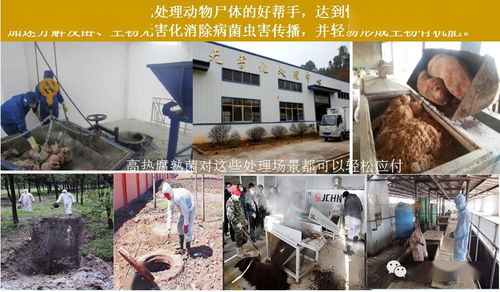 高效生態農業新助力 高溫腐熟菌與現代化糞污處理技術解析